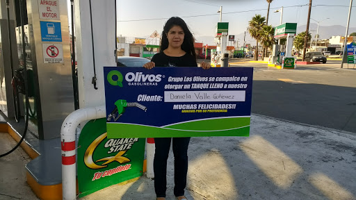 Gasolinera, Carretera Libramiento Sur 1113, Maestros, 22840 Ensenada, B.C., México, Servicios | BC