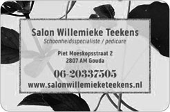 Salon Willemieke Teekens logo