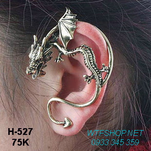 H-527.jpg