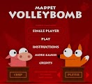 Play Free MadPet Volley Ball Online Game Cover Photo
