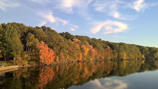 State Park «Lincoln Woods State Park», reviews and photos, 2 Manchester Print Works Rd, Lincoln, RI 02865, USA