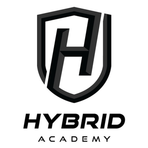 Hybrid Academy