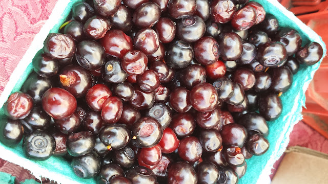 Just another normal find of beautiful berries at the Hollywood Farmers Market in Portland, on an August lunch visit to the market