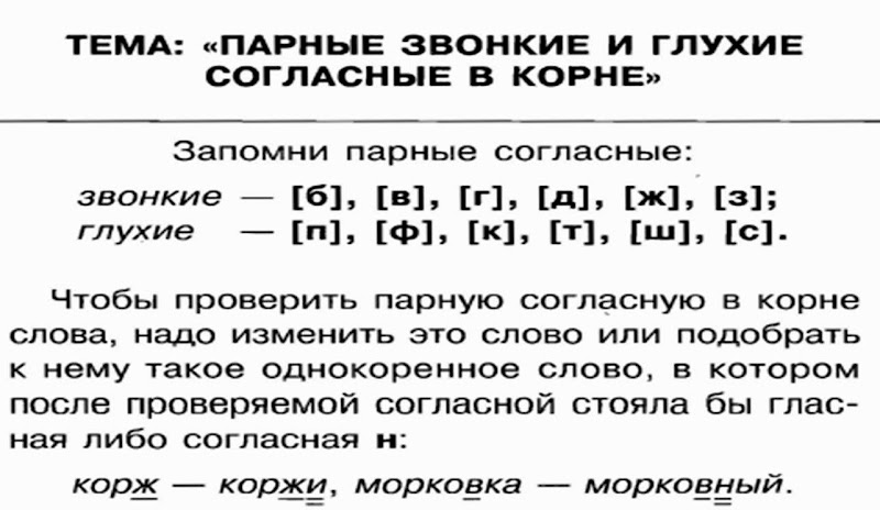 Орфографические слова по глухости звонкости