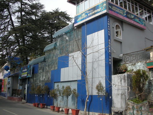 Jawahar Aquarium, Mall Road, Survey Colony, The Mall Road, Mussoorie, Uttarakhand 248179, India, Tourist_Attraction, state UK