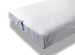 Lions & Tigers & Bed Bugs? Oh My!!