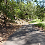 Trail in Richley Reserve near the large ponds in Blackbutt Reserve (401659)