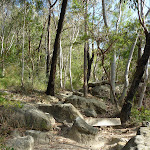 Rocky track west of Crowley Rd (332132)