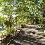 Level trail at Carnley Reserve in the Blackbutt Reserve (399331)