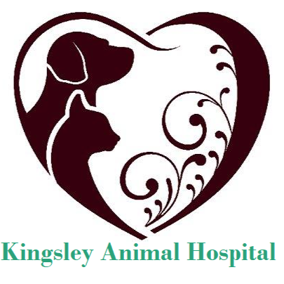 Kingsley Animal Hospital logo