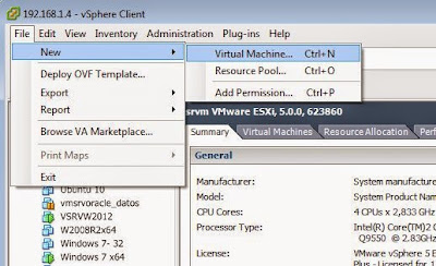 Crear mquina virtual VMware ESXi para FreeNAS