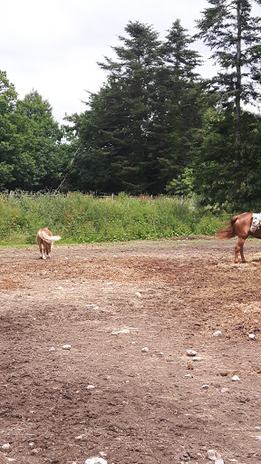 Haras de Kergueral