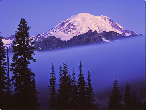 Rising Through the Fog, Mount Rainier, Washington.jpg