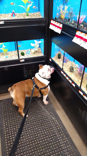 Pet Supply Store «Pet Supplies Plus», reviews and photos, 132 Randall Rd, Lake in the Hills, IL 60156, USA