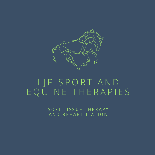 LJP Sport and Equine Therapies logo