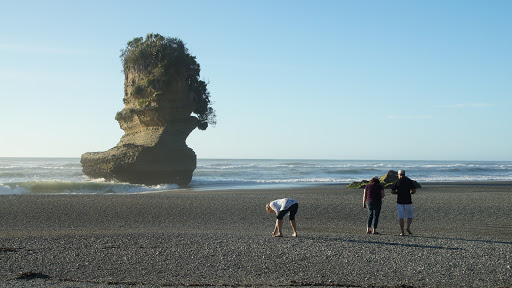 Punakaiki Beach Camp