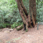 Signpost to Bobbin head on Gibbergong track (117250)
