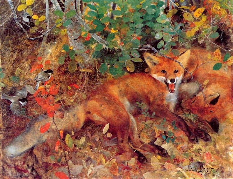 Bruno Liljefors - Foxes