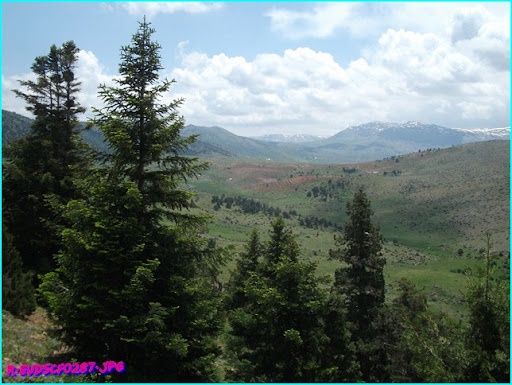 DSCF0287.JPG