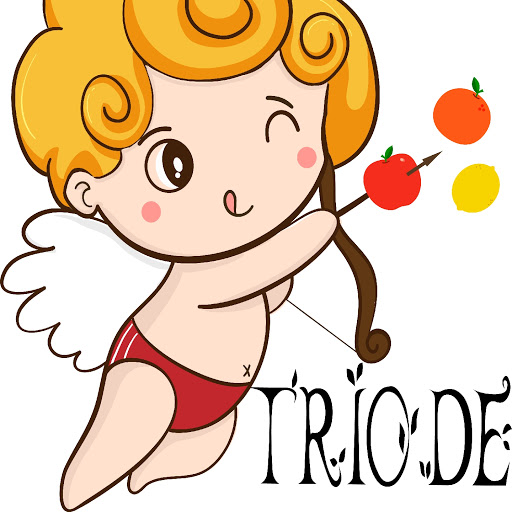 TRIODE logo