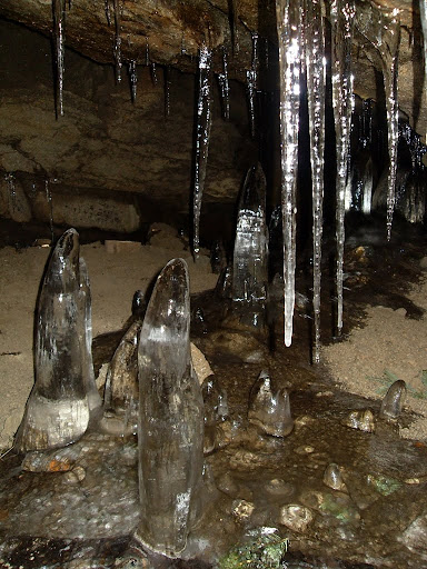 https://lh5.googleusercontent.com/-_ZHZF-9dpwg/Tvd5fflg5_I/AAAAAAAAACM/cIskVQSppiw/s512/SDC12625.JPG