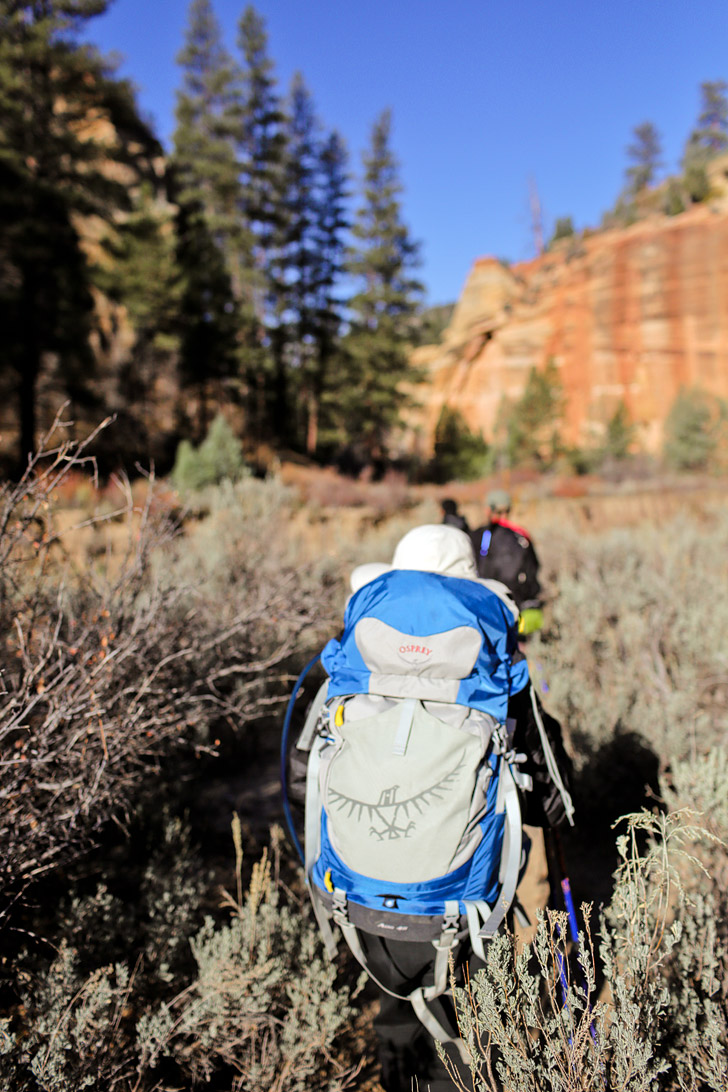 Day 1 of the Narrows Hike Zion National Park.