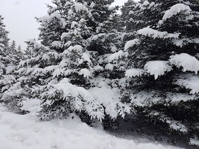 Photos of Pleiades Village1403m