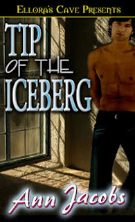 Guest Review: Tip of the Iceberg by Ann Jacobs