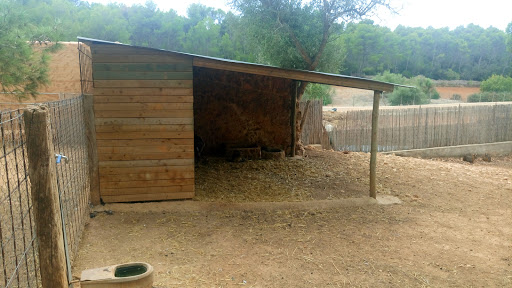 Zoologico Natura Parc