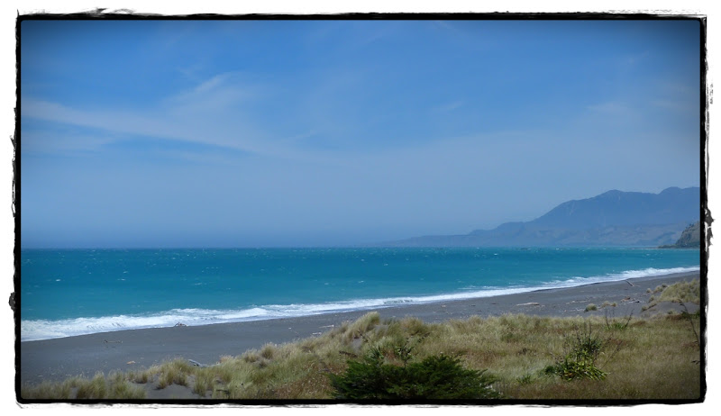 De Motueka a Kaikoura: fiordos, vinos, focas y cachalotes - Te Wai Pounamu, verde y azul (Nueva Zelanda isla Sur) (5)