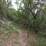 Looking back along the track (90441)