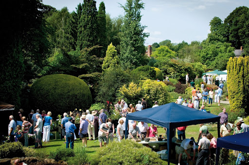 Great Comp Garden
