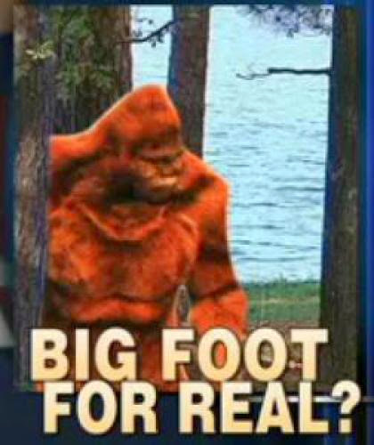 Does Sasquatch Yes Bigfoot Roam The Forests Of New England