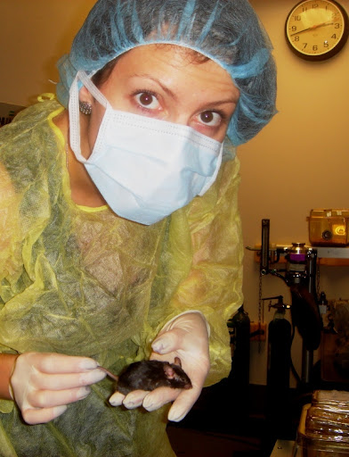 Урологи. Мыши. Девушка. 