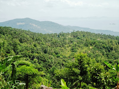Майский Тай (Бангкок-Самуи-Тао)