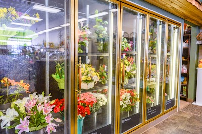 Photos of Duffy's Flowers & Plants