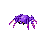 sad spider bouncing on her thread