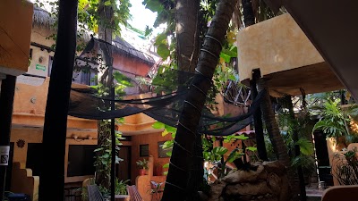 Photos of Hotel Eclipse