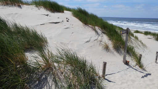 Nationaal Park Duinen van Texel