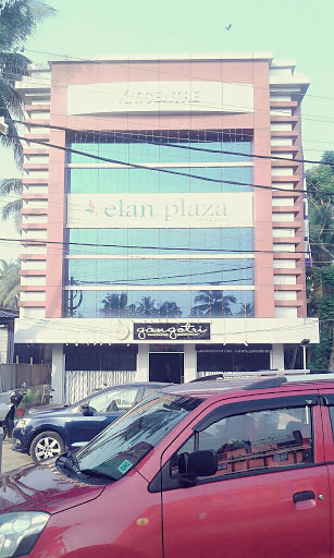 Elan Plaza, Salem - Kochi - Kanyakumari Hwy, Chirakkadavam, Kayamkulam, Kerala 690502, India, Hotel, state KL