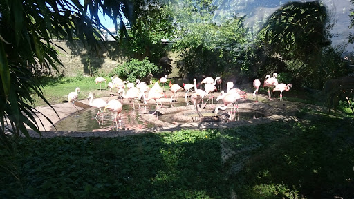 Edinburgh Zoo