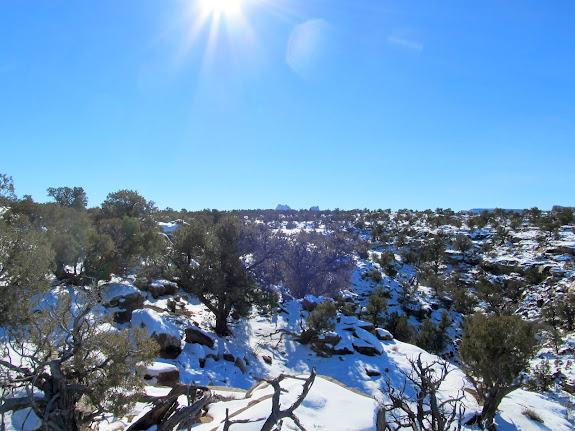 On top of Calf Mesa