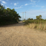 Trail and intersection at Belmont Lagoon (390263)