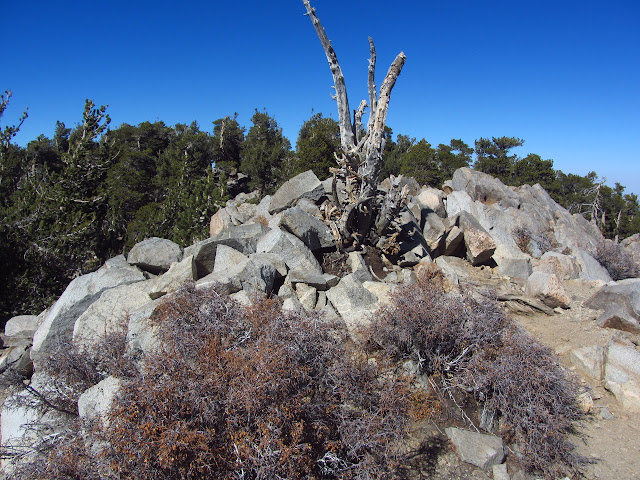 San Bernardino East Peak