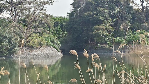 Tokyo Port Wild Bird Park