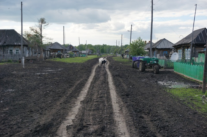 Едем, тонем, горим. Отчет о поездке на оз. Тенис в июне 2013г.