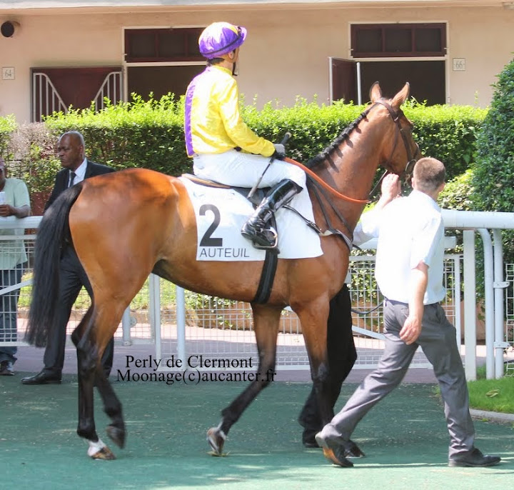 Photos Auteuil 8-06-2014  IMG_1699