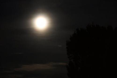 Long Night Moon