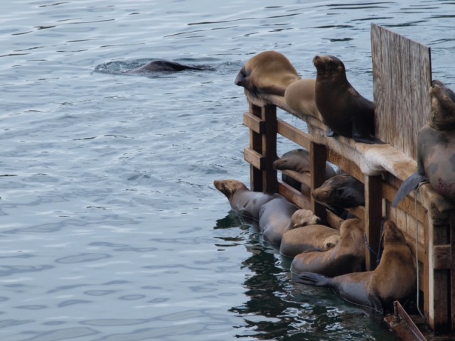 Fishermans Wharf Monterey