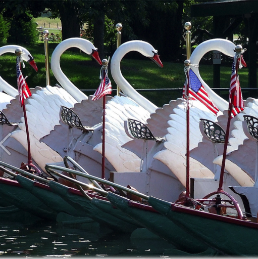 Swan Boats logo